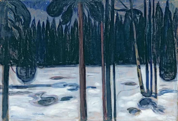 Paesaggio Invernale